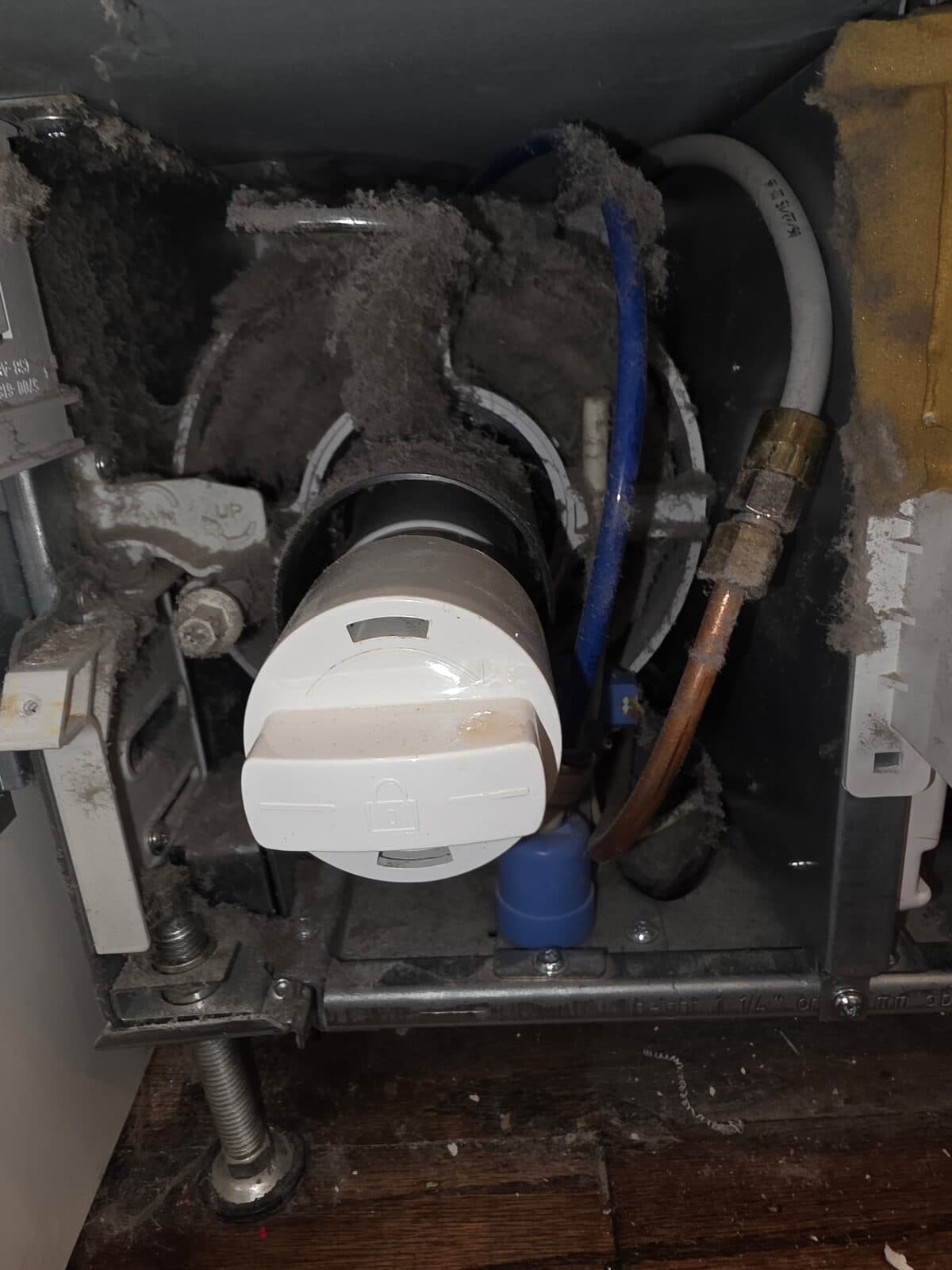 Refrigerator condenser compartment caked in dust before maintenance
